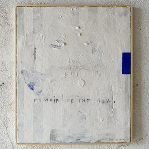 MEMOIR OF THE SEA